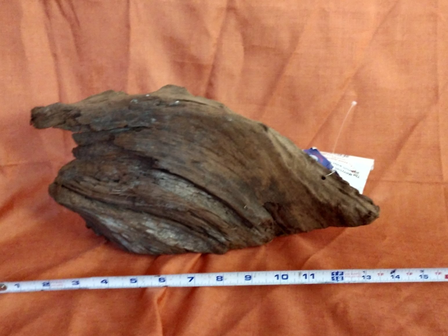 Extra thick Malaysian Driftwood MD-01